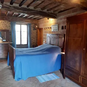 Del Capo Capannori